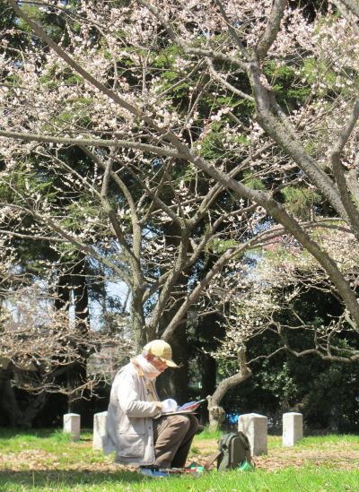 vườn ngự uyển